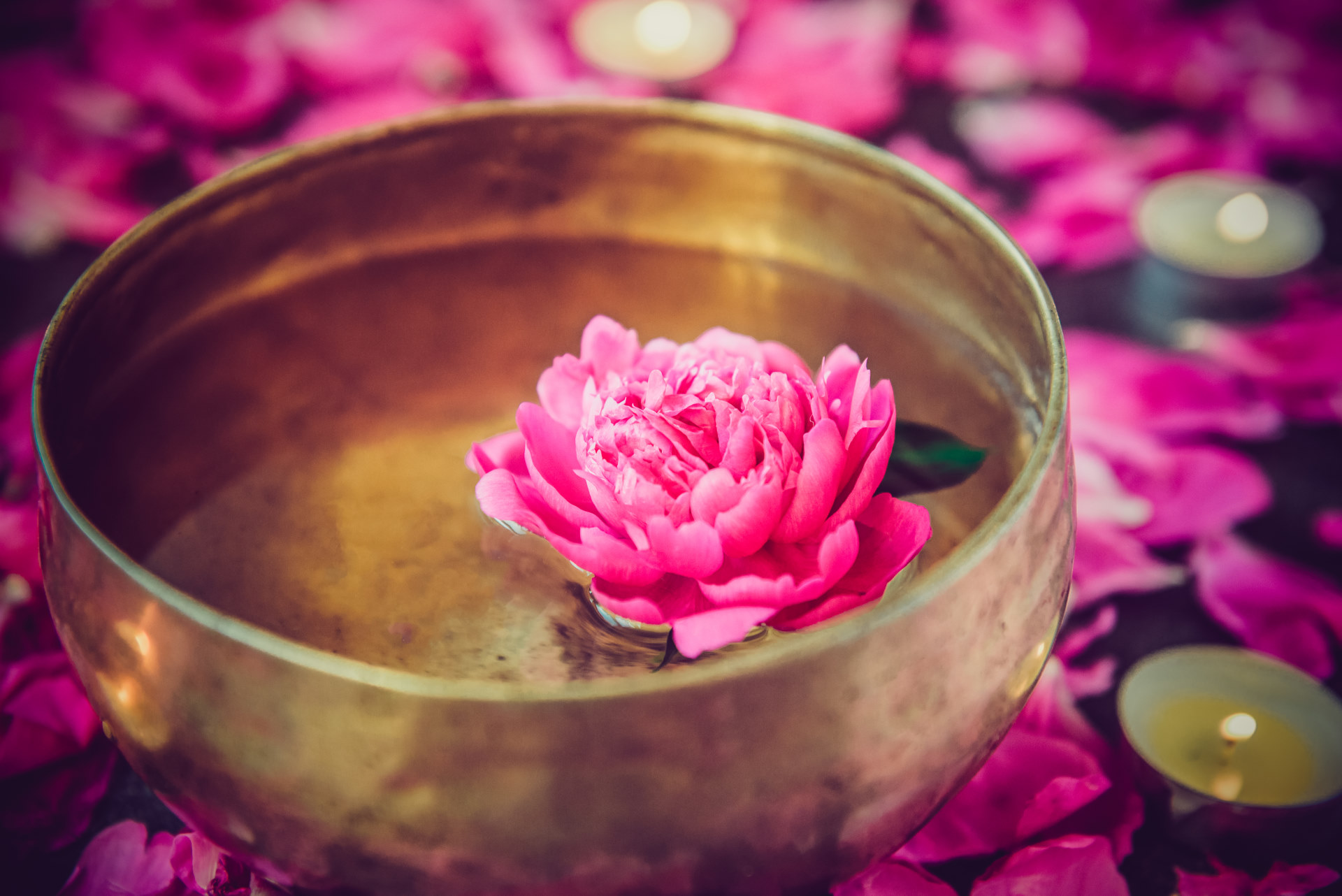 Bol et fleur rose_1920 Bol tébétain et fleur de lotus rose pour le Cercle de Chant de Mantras