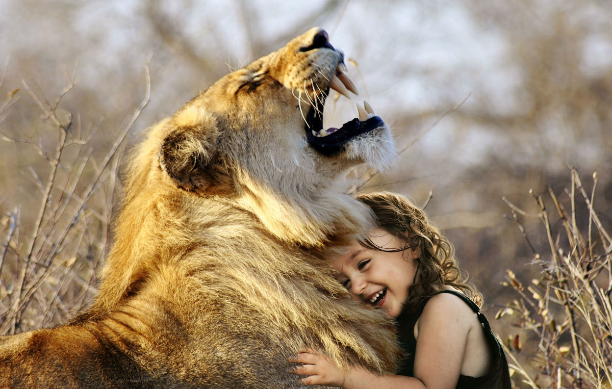 Fillette sur lionne représente le Voyage Chamanique vers l'enfant intérieur