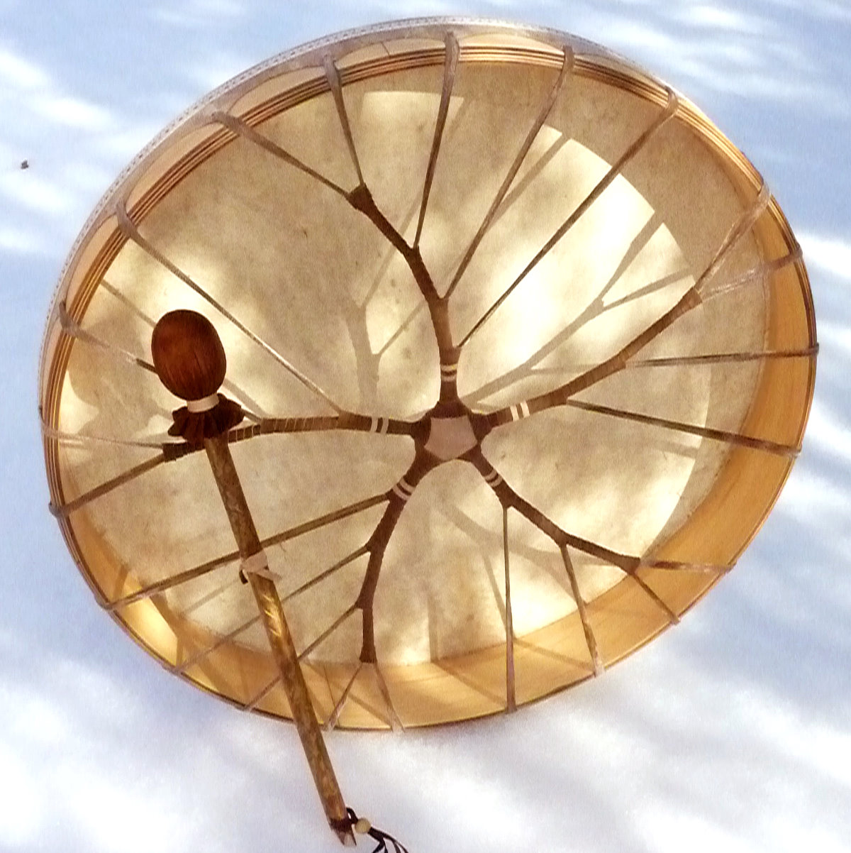Tambour Étoile de Mer pour illustrer la Formation Tambour Chamanique