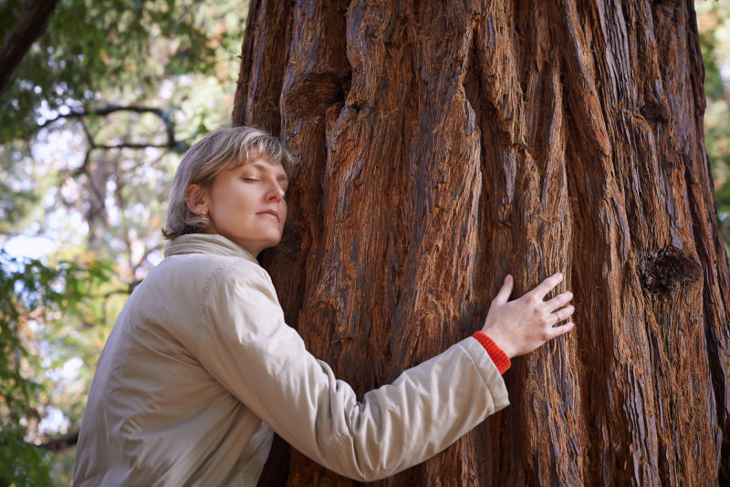 Femme en train d'enlacer un arbre - Stage Éveil à Soi