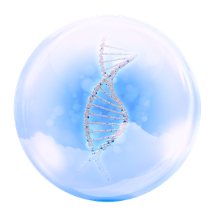 Design sans titre (4)